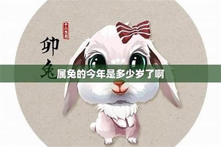 害太岁、破太岁、值太岁、刑太岁分别都是什么意思啊