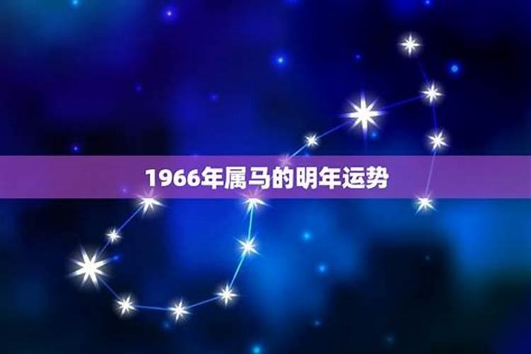 2025属马事业运如何 1966年属马58岁以后命运