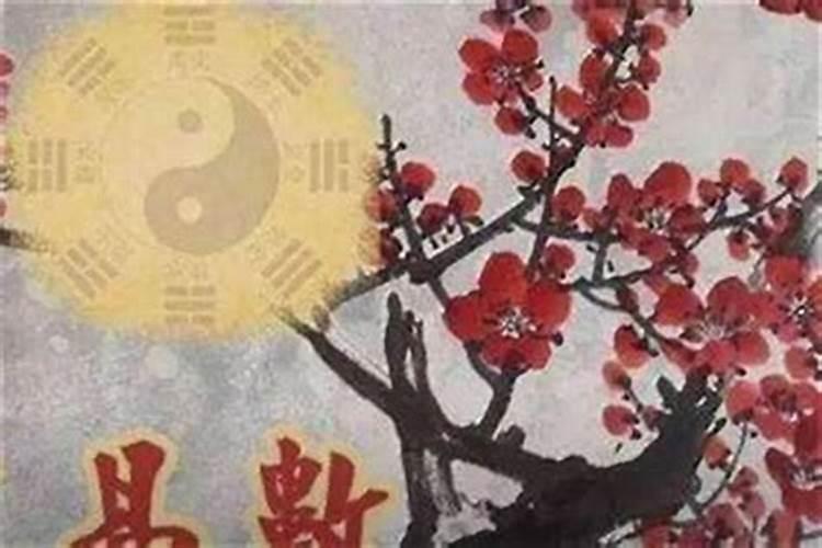 求高手给一个完整点的用梅花易数算卦过程。谢谢!百科上的话我怎么读不...