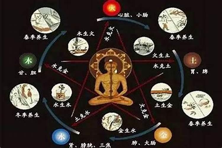 梦见梦家门口有花与树