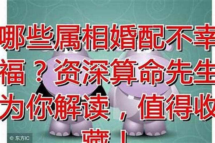 找对象该不该相信属相,找对象结婚看年龄属相,真的很重要吗？
