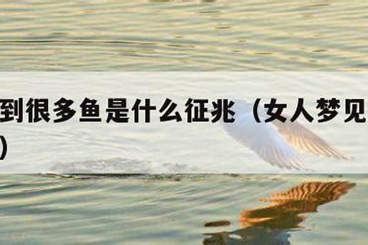 梦见抓鲤鱼是什么征兆