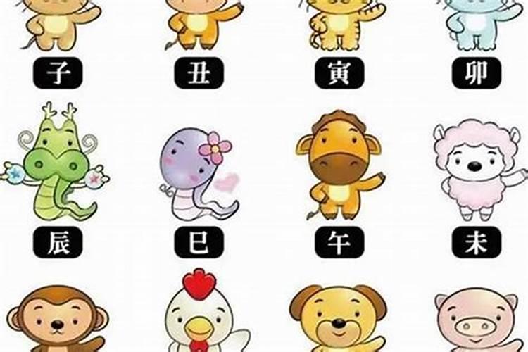 2025年属狗人的全年每月运势