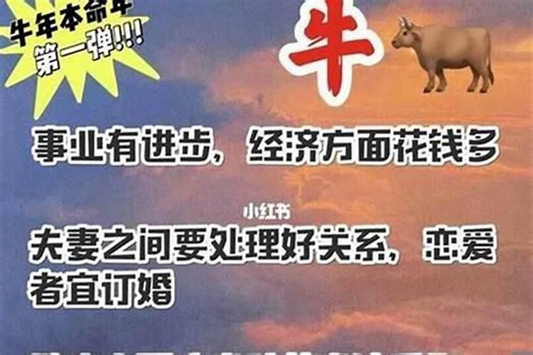 88年属龙最难熬是哪年2024