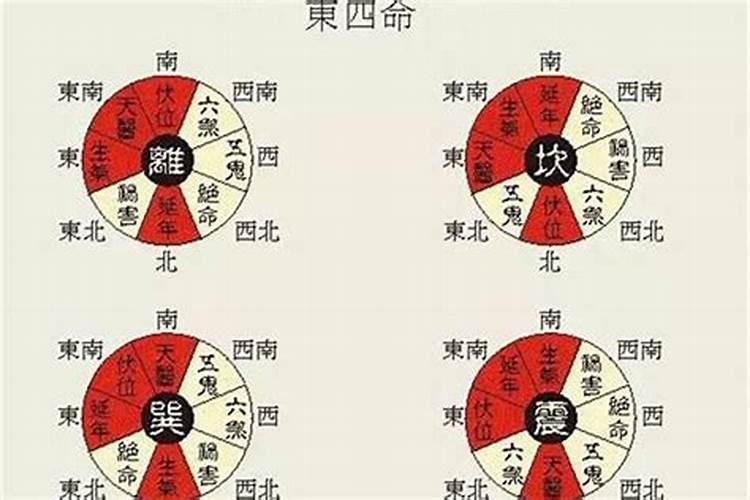 2025属猴今年有一难 2025年属猴人命运如何