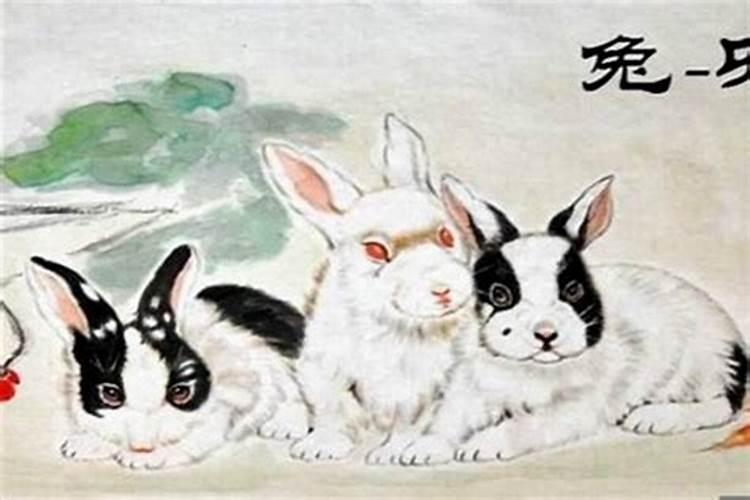 属兔人今年每月运势如何,属兔人的本周运势