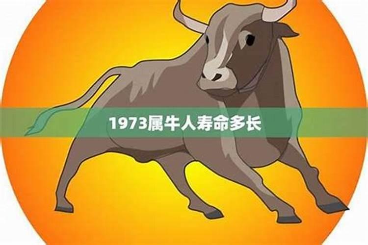 1973年冬月初六生运势