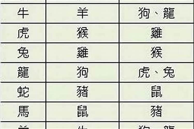 生肖配对属牛和属兔适合做夫妻吗