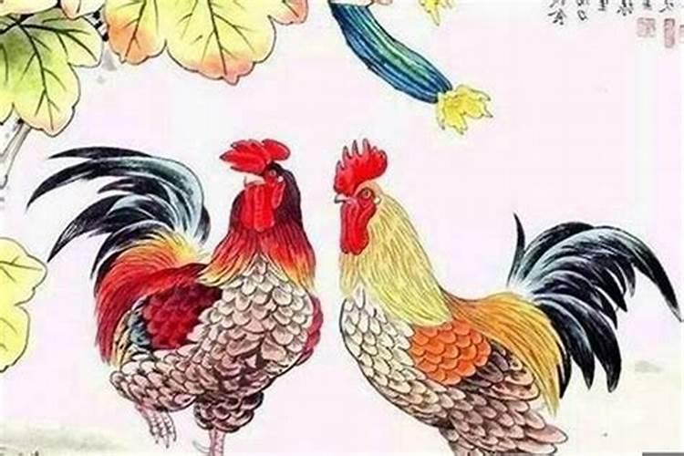 男属鸡,女属猴,相配吗