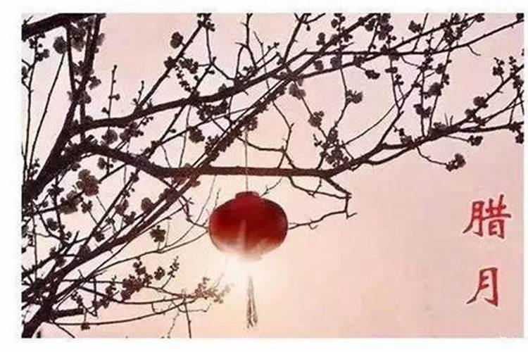 属猪腊月初九亥时出生女命运