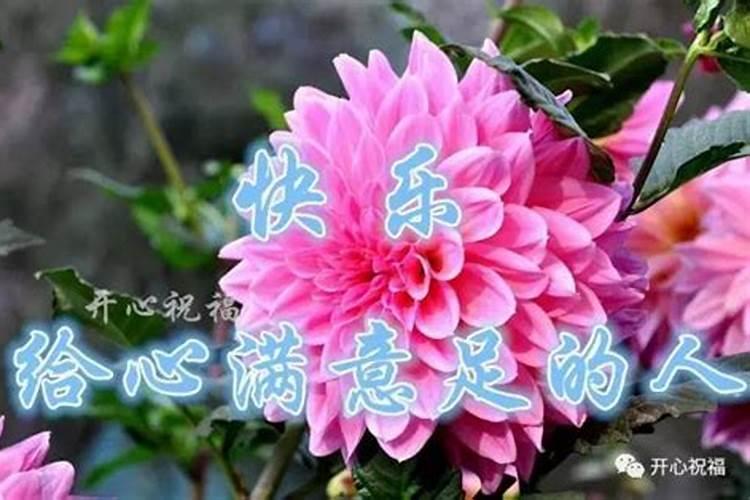 冬至运气好是不是代表来年也运气好