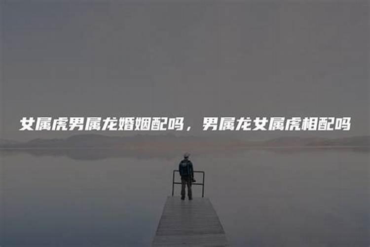 虎男龙女相配的婚姻好吗