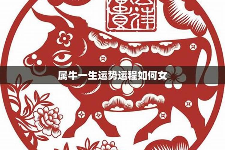 属牛的人一生命运如何,婚姻怎么样