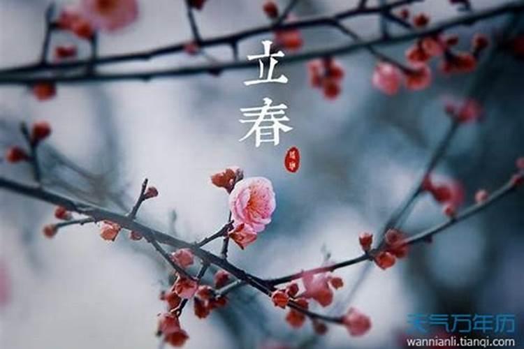 86年虎女2024年运势及每月的运程