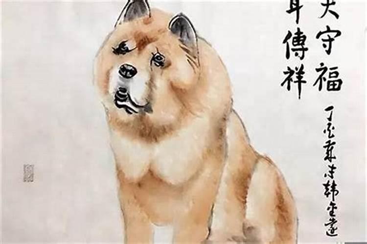 属狗农历十月十四出生的运程