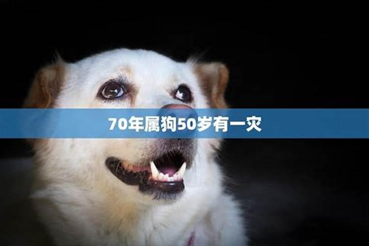 2025年属狗人全年运势1970