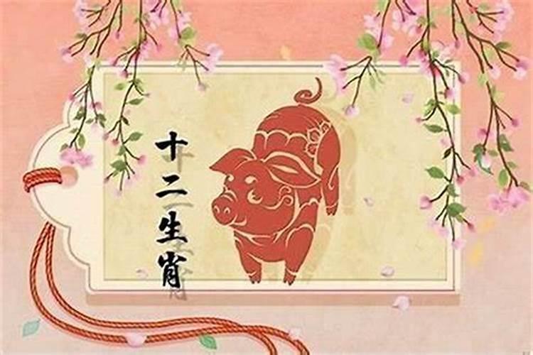 小度在家回家看看怎么让对方不知道