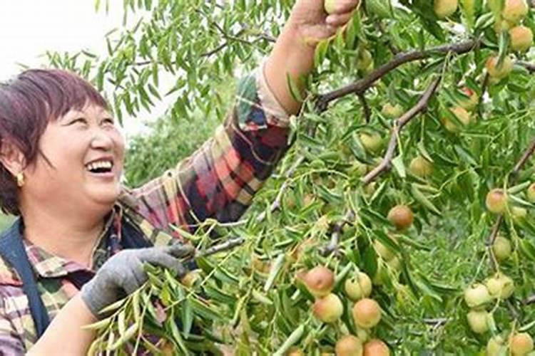 做梦生孩子是怎么回事周公解梦