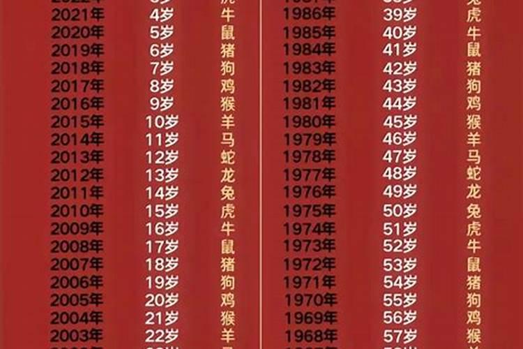 99年兔2025年运势及运程