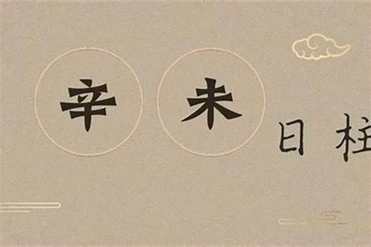 辛未日柱婚姻女命配偶 婚姻配对？