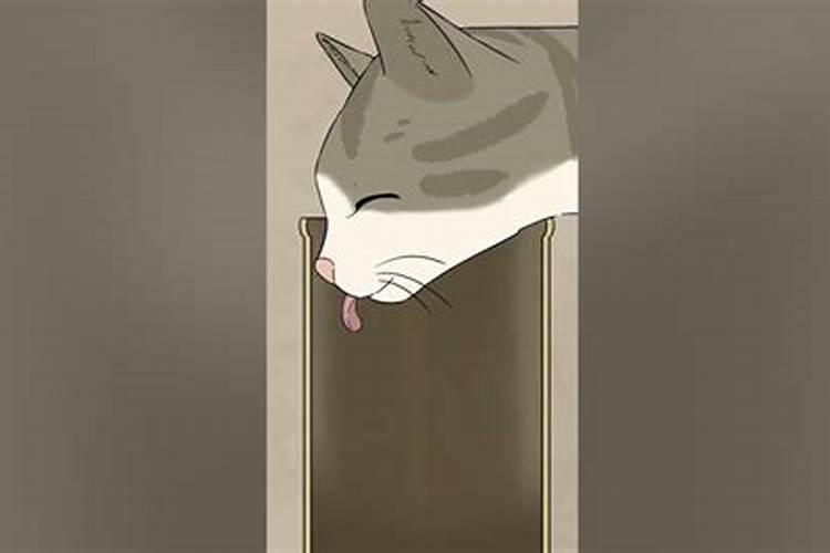 本命年致自己的一句话