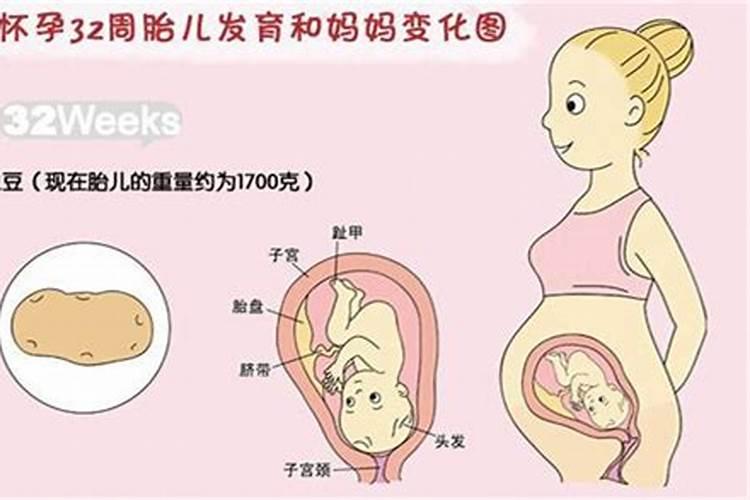 梦见文曲星的预兆