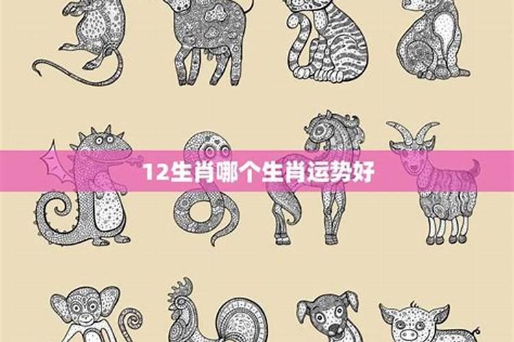 农历十一月,哪3个生肖运势好到爆,事业大展拳脚,发财喜悦聚堆来百度知...