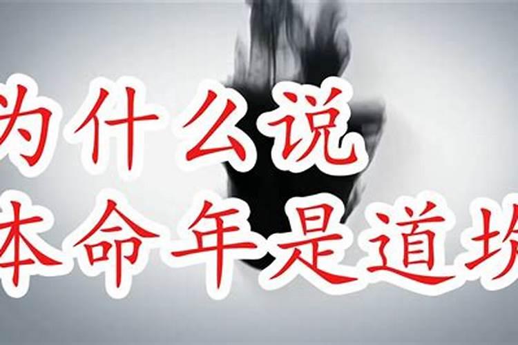 金牛今明两天运势