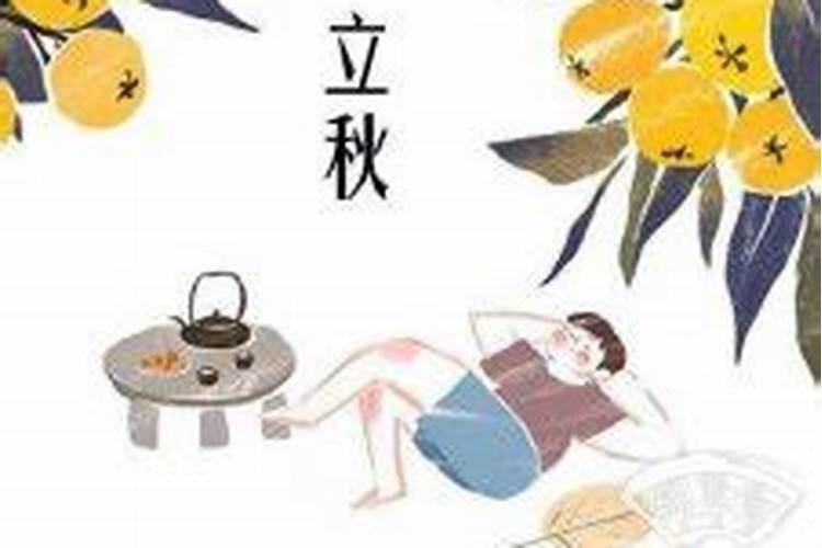 属猪人的一生命运