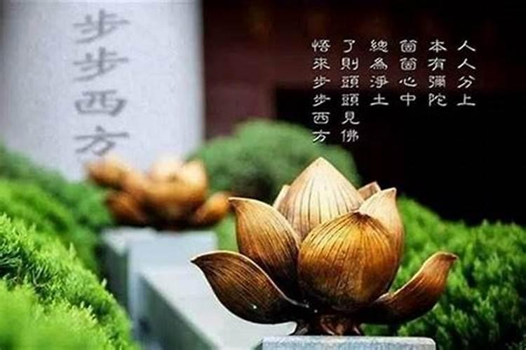 兔年本命年戴什么好处 兔年本命年可以戴什么