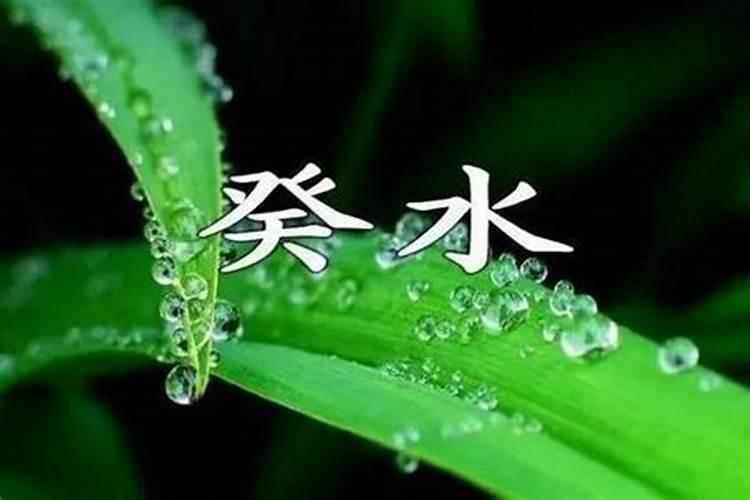 癸卯日柱为什么特殊