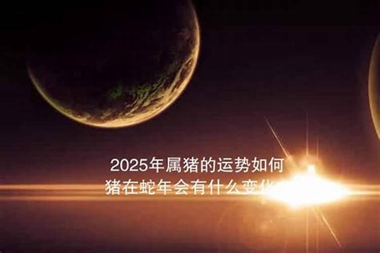 1977年属蛇女士[48岁]2025年情感运势全解,婚姻如何稳固？