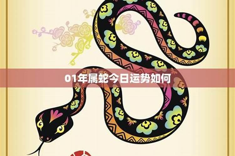 91年属羊人2025年全年运势详解