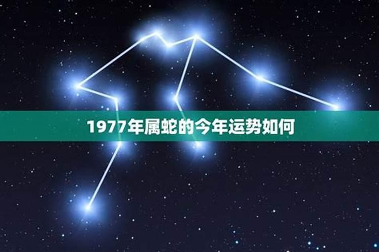夏至节气的由来和风俗