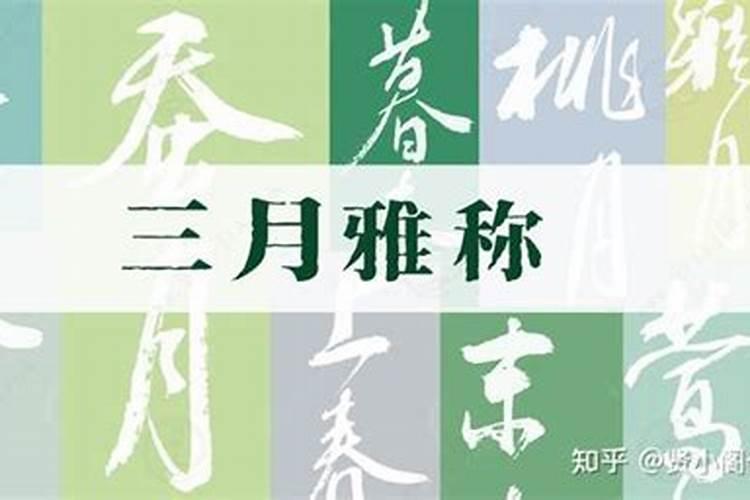 生肖羊2025年运势 属羊2025年运势及运程