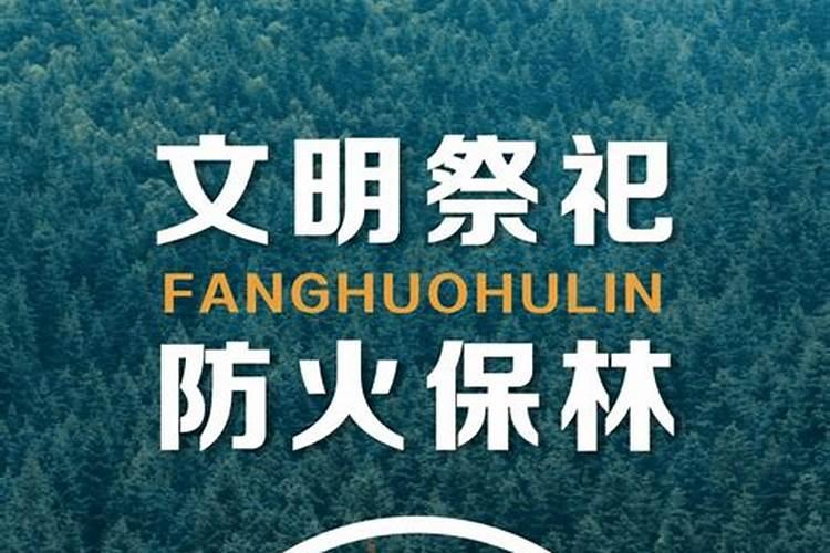 森林防火作文450字左右
