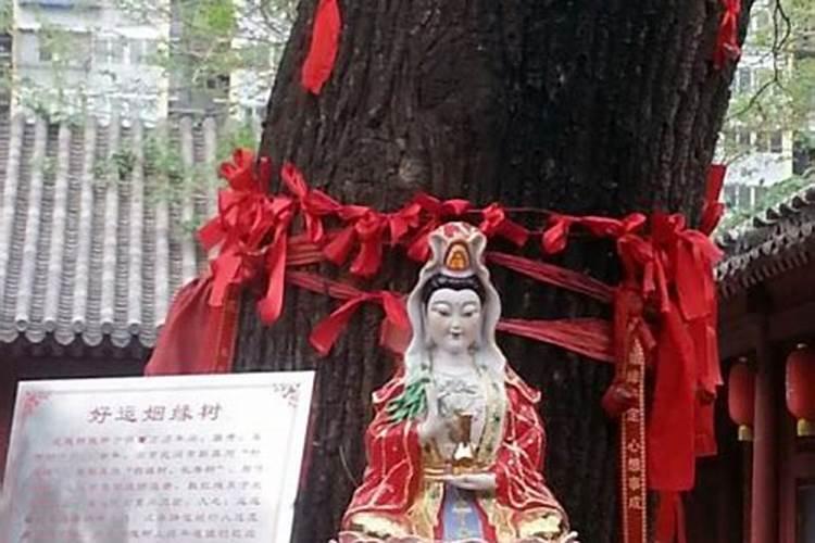 为什么那么多人在雍和宫那的薛居士算命啊~