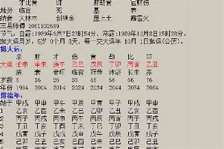 1991年腊月出生的羊的运势
