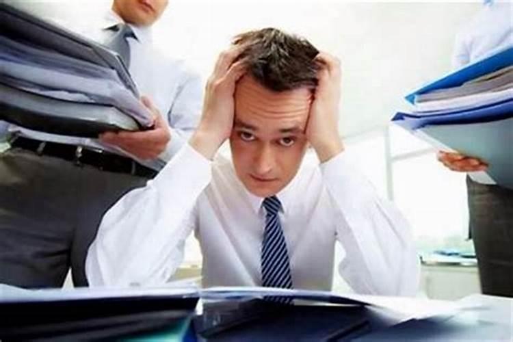 属狗农历十月十四出生的运程