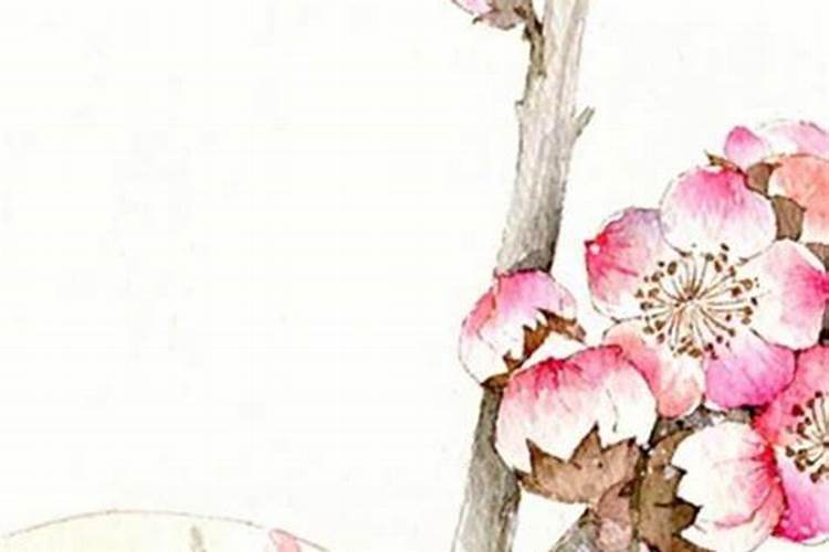 如何过六十岁生日？