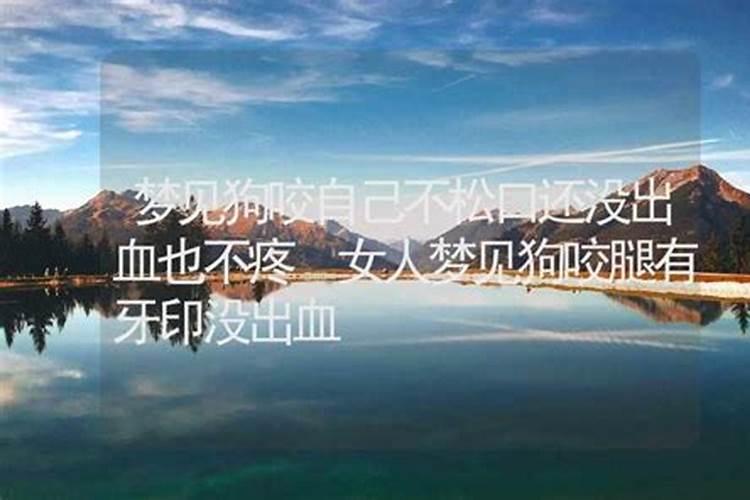 梦见狗咬我的腿的预兆