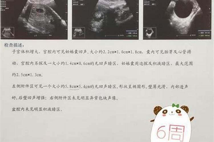 鸡年犯太岁的朋友,要用什么方法化解