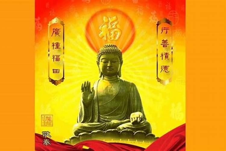 什么佛号能度打掉的孩子往生净土