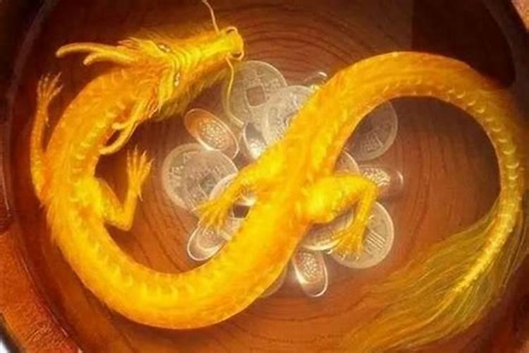 属龙的和属狗的配吗？