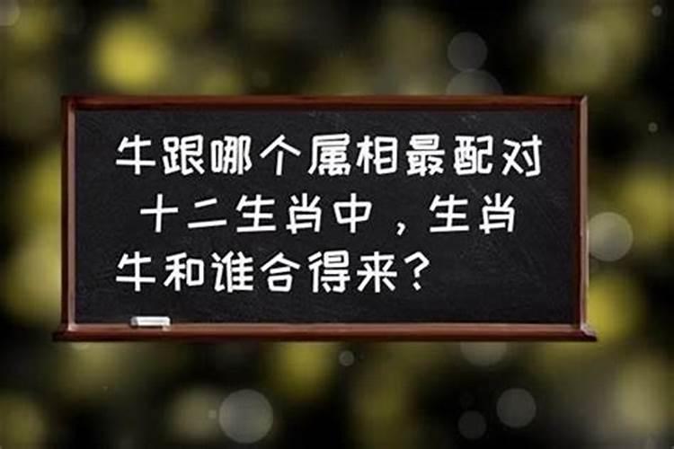 属牛的和什么属相三合:属蛇、属鸡