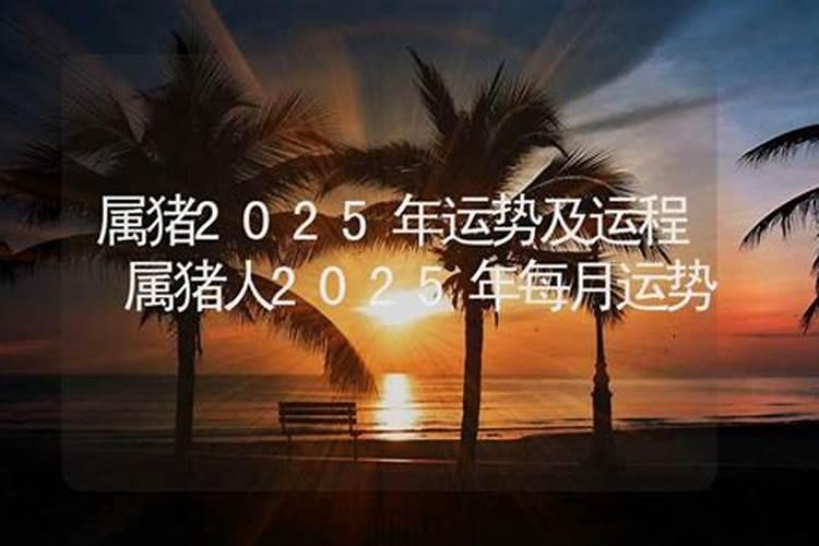 郑博士 12月12生肖最强最弱运势排行榜