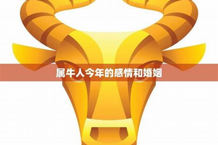97属牛男2025年的运势和婚姻状况