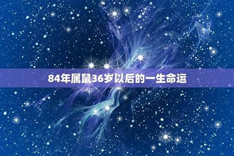 84年属鼠人的终身命运运程运势