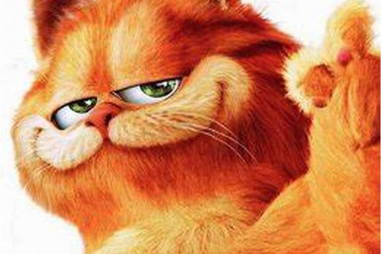 女人梦见猫跟自己说话是什么意思