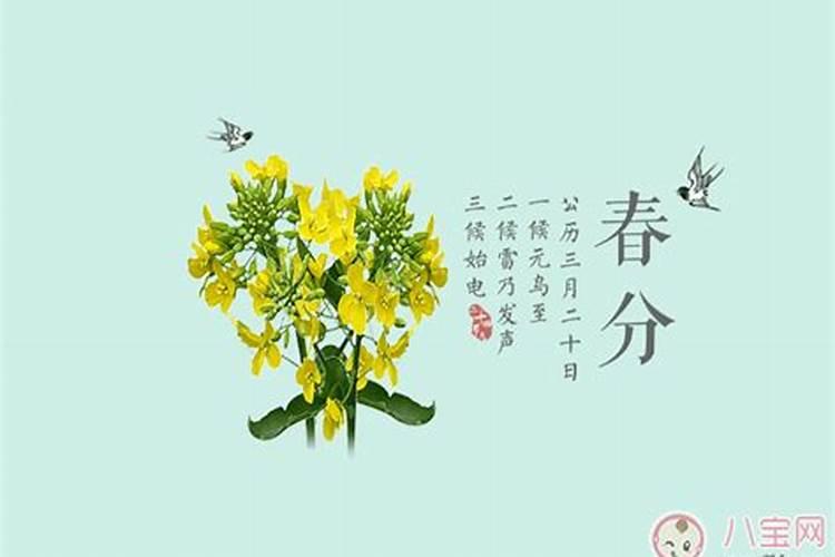 春分生孩子好不好